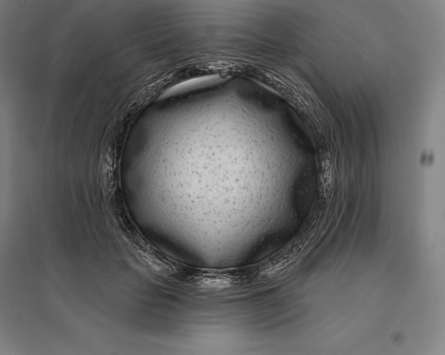 X0000095130653200712301825