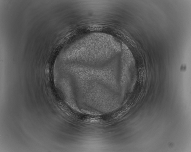 X0000095130655200712301826