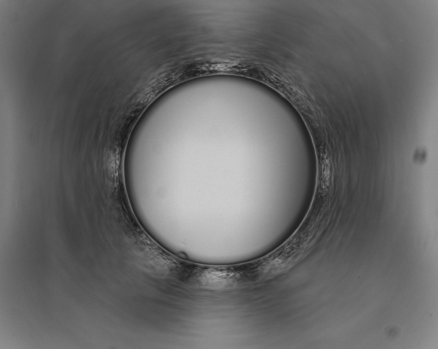 X0000095130657200712301826