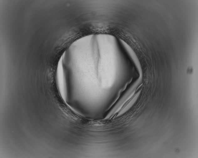 X0000095130658200712301826