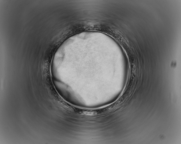 X0000095130659200712301826