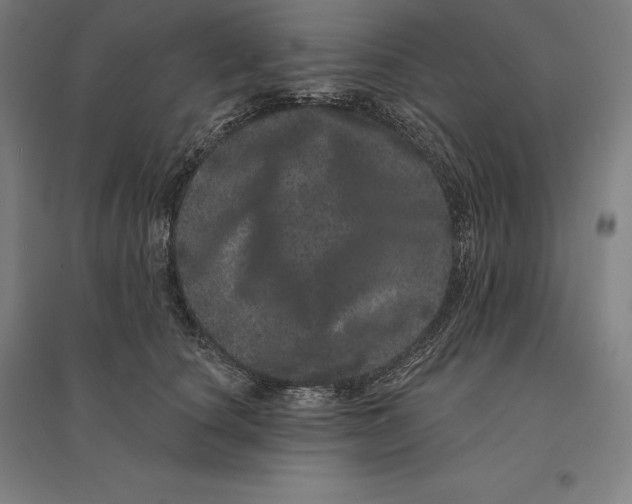 X0000095130660200712301826