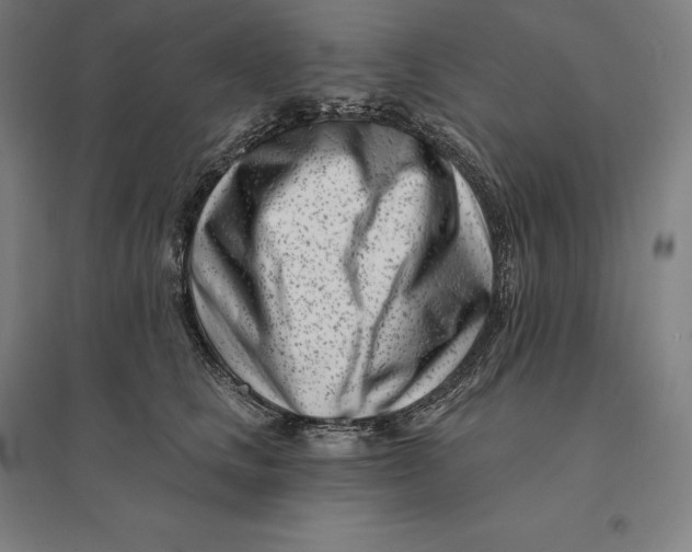 X0000095130661200712301826