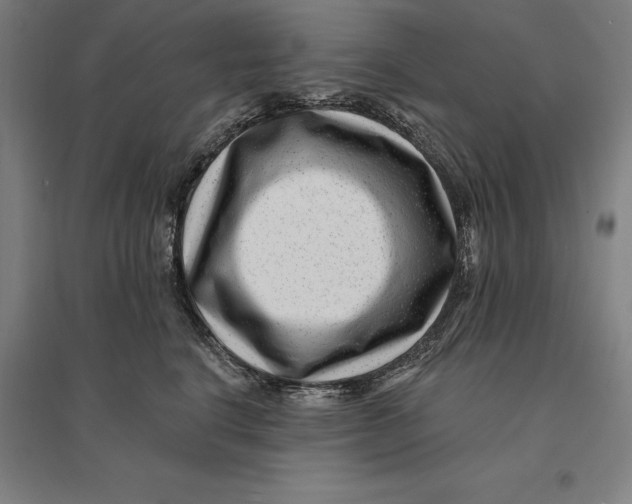 X0000095130664200712301826