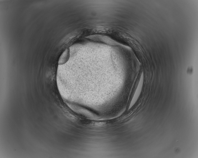 X0000095130665200712301826