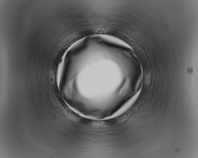 X0000095130666200712301826