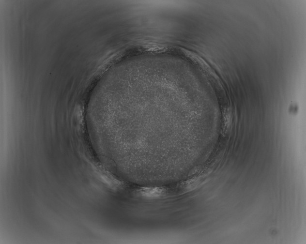 X0000095130667200712301826