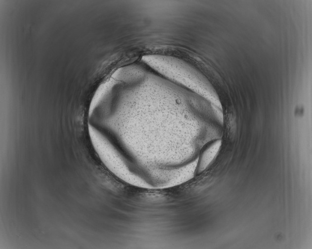 X0000095130668200712301826