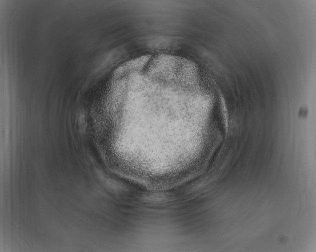 X0000095130671200712301826