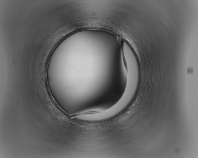 X0000095130673200712301825