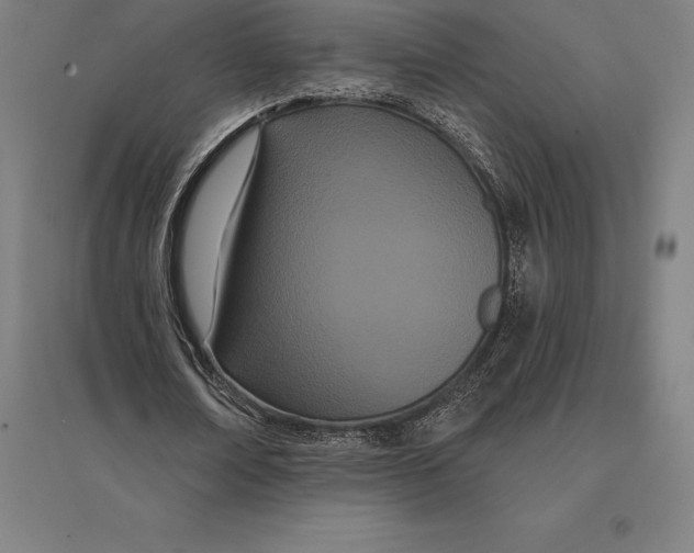 X0000095130674200712301825