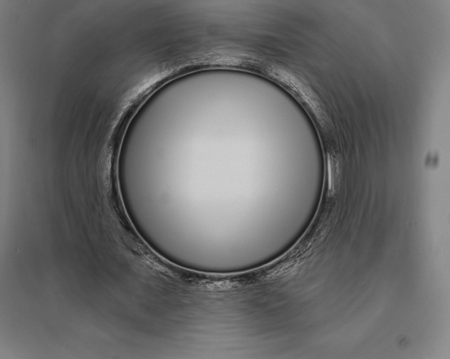 X0000095130675200712301825