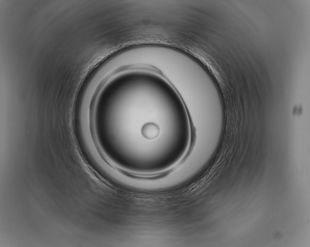 X0000095130677200712301825