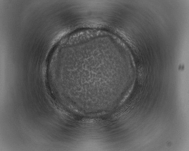 X0000095130679200712301825