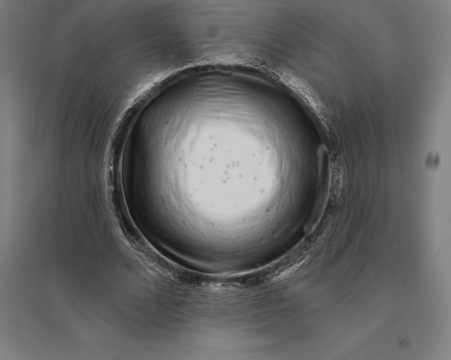 X0000095130680200712301825