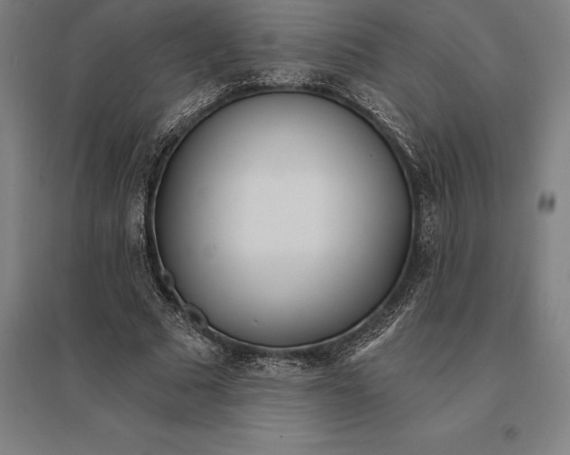 X0000095130681200712301825