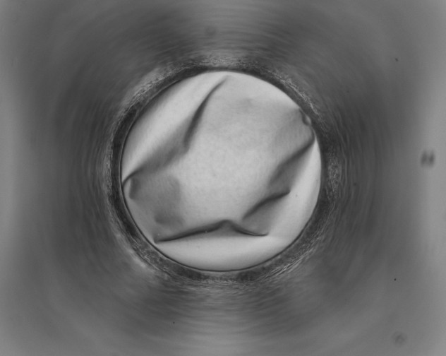 X0000095130682200712301825