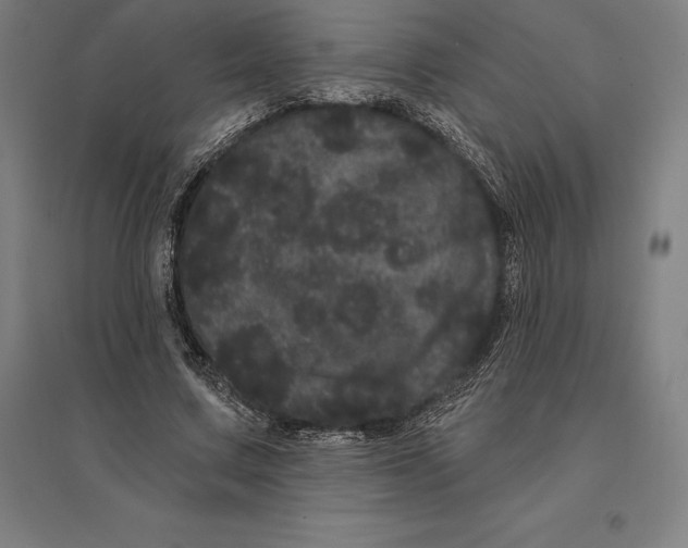 X0000095130683200712301825