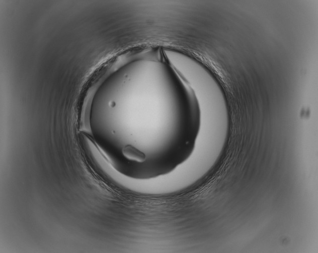 X0000095130684200712301825