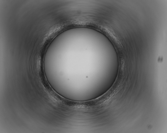 X0000095130685200712301825