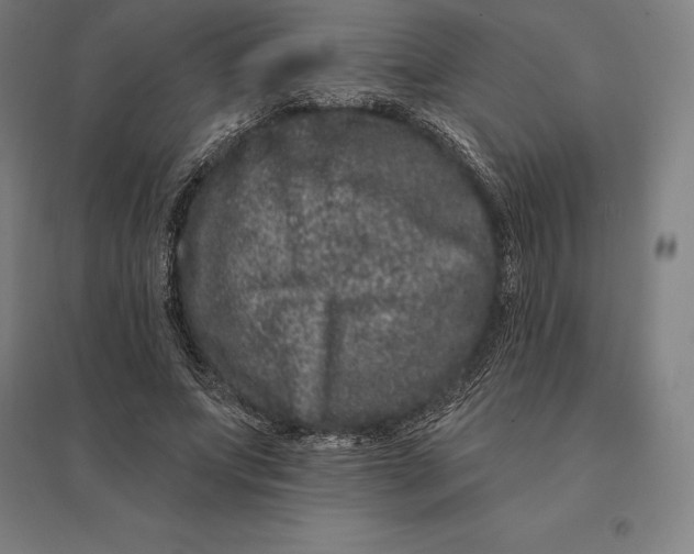 X0000095130687200712301825