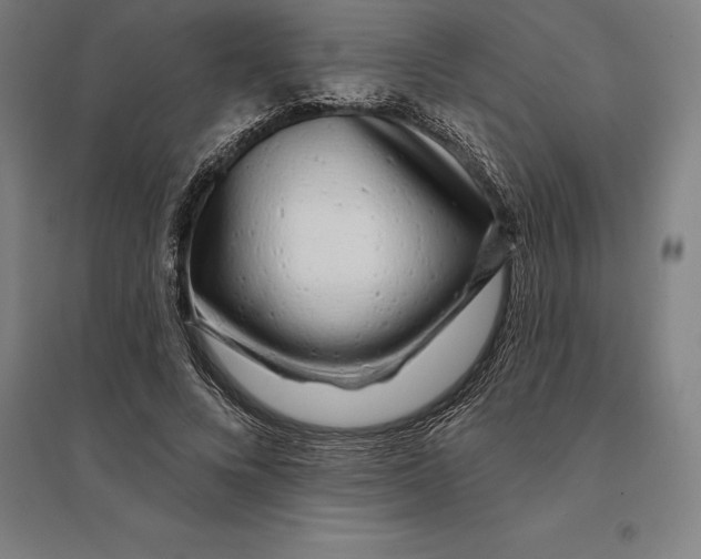 X0000095130688200712301825