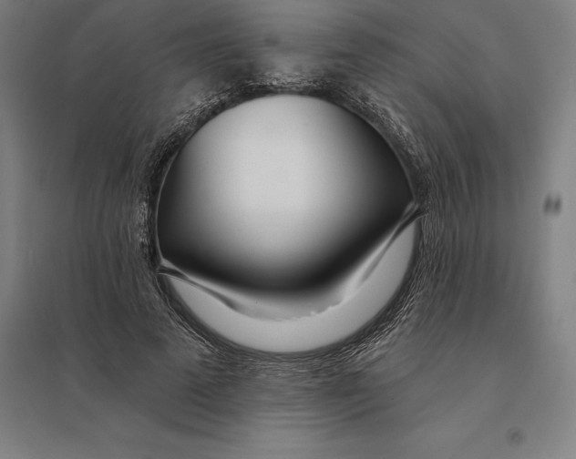 X0000095130689200712301825