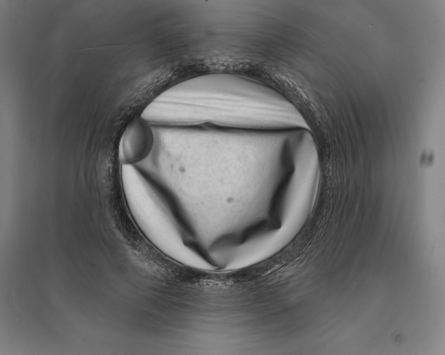 X0000095130690200712301825