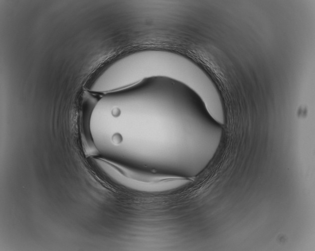 X0000095130692200712301825