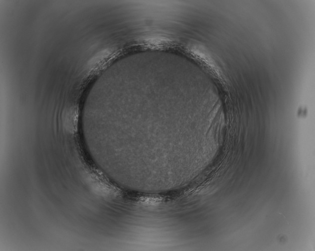 X0000095130694200712301825