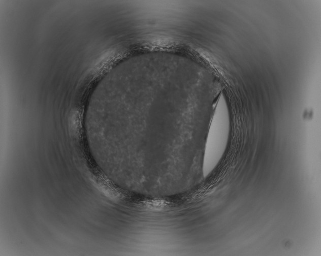 X0000095130695200712301825