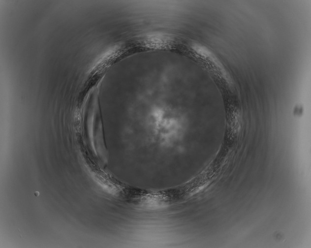 X0000095130696200712301825