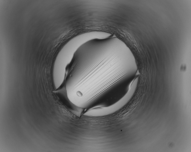 X0000095130697200712301825