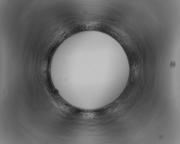 X0000095130698200712301825