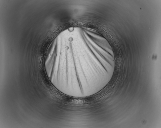 X0000095130699200712301825