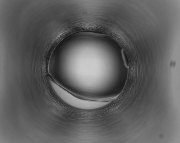 X0000095130700200712301825