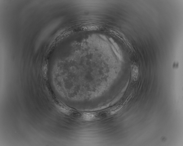 X0000095130701200712301825