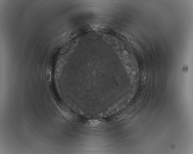 X0000095130703200712301825