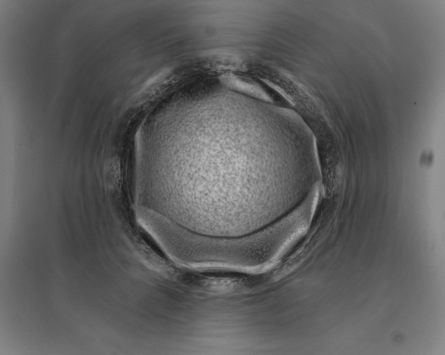 X0000095130704200712301825