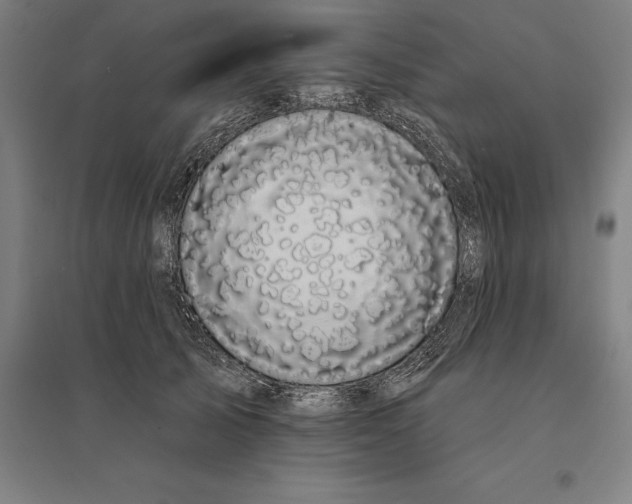 X0000095130705200712301825