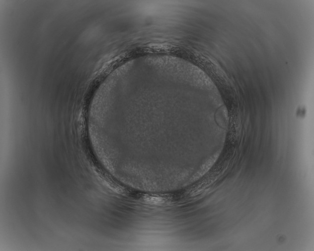 X0000095130706200712301825