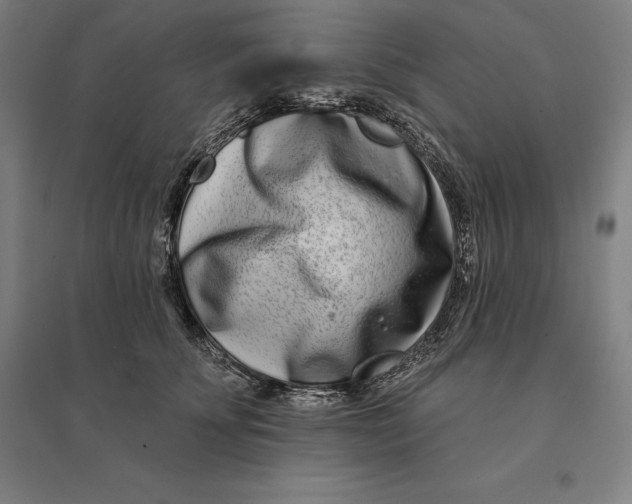 X0000095130707200712301825