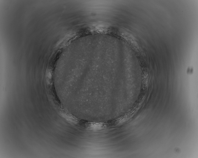 X0000095130709200712301825