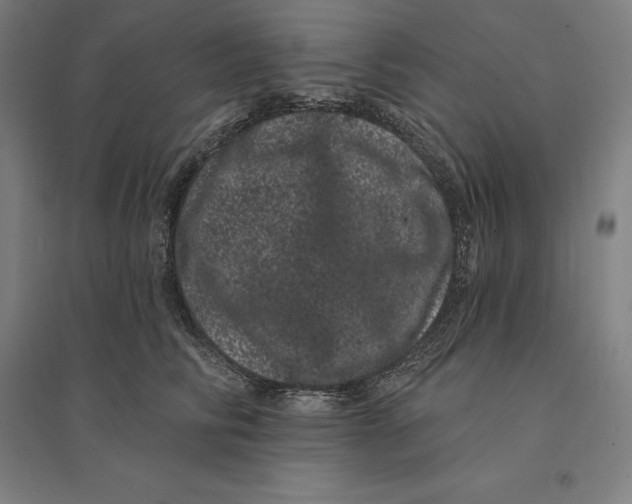 X0000095130710200712301825