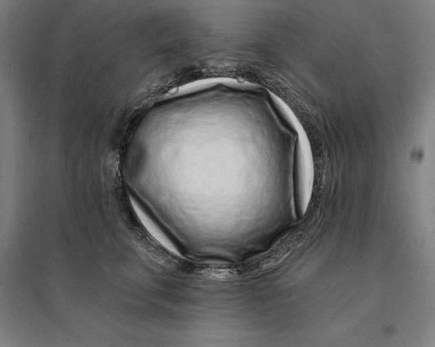 X0000095130711200712301825