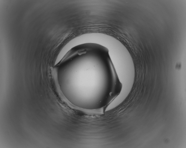 X0000095130712200712301825