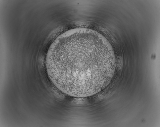 X0000095130713200712301825