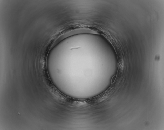 X0000095130715200712301824