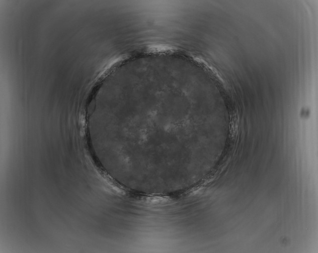 X0000095130716200712301824