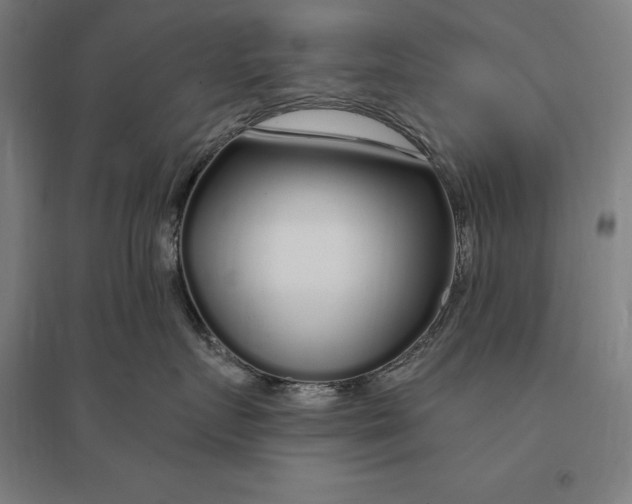 X0000095130719200712301824